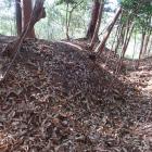 西尾根曲輪群南西端の土塁