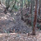 南郭を囲む横堀の南西隅部