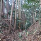 主郭部北側の堀切