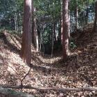 主郭西裾の横堀