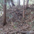 主郭北辺の土塁