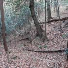 副郭南西部から北西に落ちる竪堀（手前～左）から北に派生する横堀（右奥）