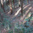 北西尾根から西に落ちる竪堀