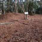 西の城・主郭。北辺を土塁が囲む