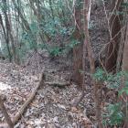 西の城・北西尾根の二重堀切（内側）