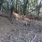 東郭西辺の土塁