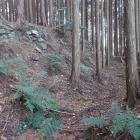 石垣のある土塁と横堀