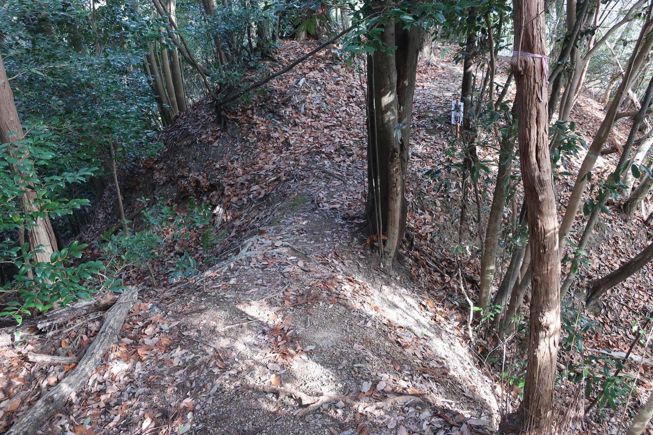 西の城・主郭東裾の堀切。両端は竪堀となる