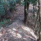 西の城・主郭東裾の堀切。両端は竪堀となる