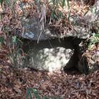 主郭南裾の藪の中に石材。古墳の石室跡？