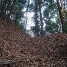 北東尾根の浅い堀切