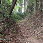 登城路