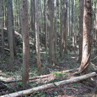 主郭土塁