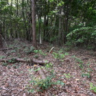 山頂