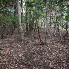 山頂
