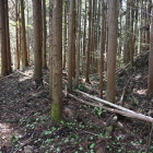 主郭虎口