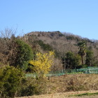 青山城遠景