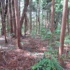 秀衡ヶ崎
