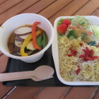 鹿肉インドカリー