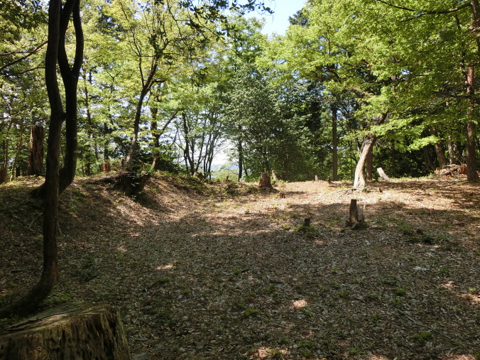 主郭部の土塁