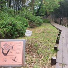 ここから入った