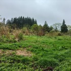 主郭全景(畑です…)