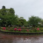 桂城公園全景