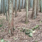馬出跡かな…？