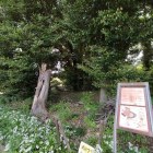 ここが本丸中央部とのこと