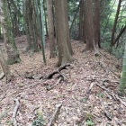 主郭土塁