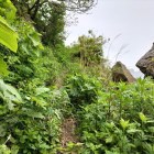 登城道(進み始め)