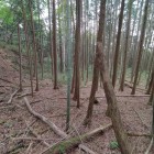 南郭