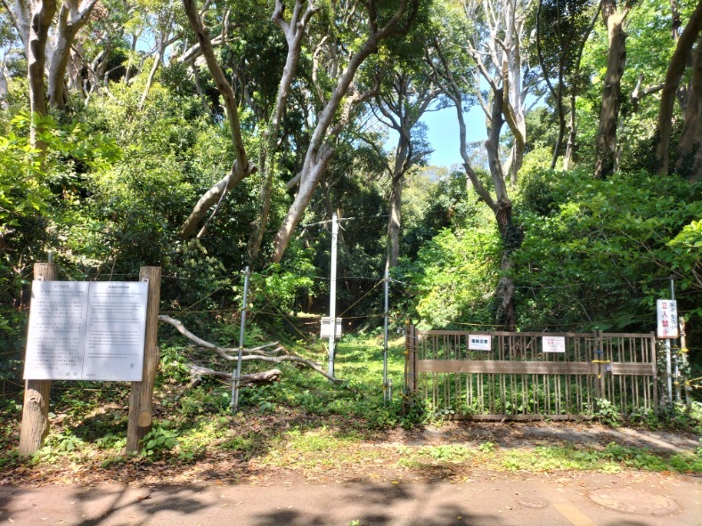 東海大学臨海実験所の空堀全景