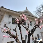 モギテンに見えるが…