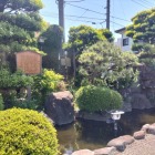 ちょいと覗くとパネルが…