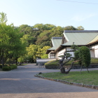 徳島城博物館甍と城山を望む5/13