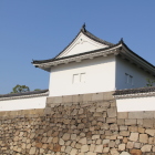 同左の側面
