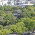天守閣展望階より二の丸一番櫓を見る