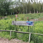 志知城案内板と本丸北側