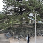 近くの歩道橋から見た太鼓櫓跡