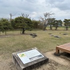 枯山水庭園