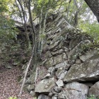 本丸下（東側）の石垣