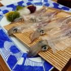 萬坊：生きてて全員こっち見てる！