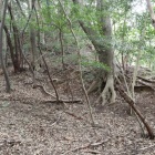 主郭背後の土塁
