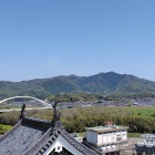 音無瀬橋と明智藪