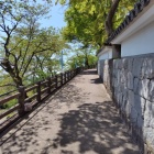 登城中
