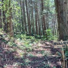登城口