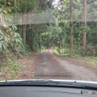 狭い林道