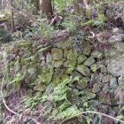 登城口の石積み