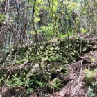 茶臼山砦跡の石積み